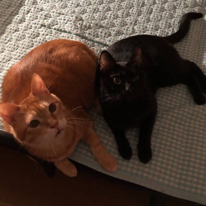 6f5bfa35 fb03 4877 a5ec 905689ccd7a4 1662208405505