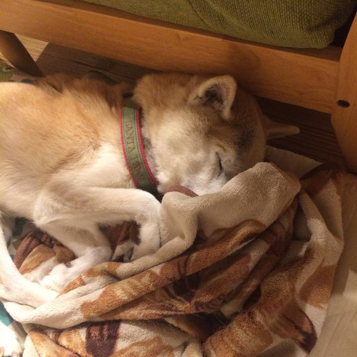 6f5c01d0 a557 4609 aaae 5420b0e42a92 1579617916402