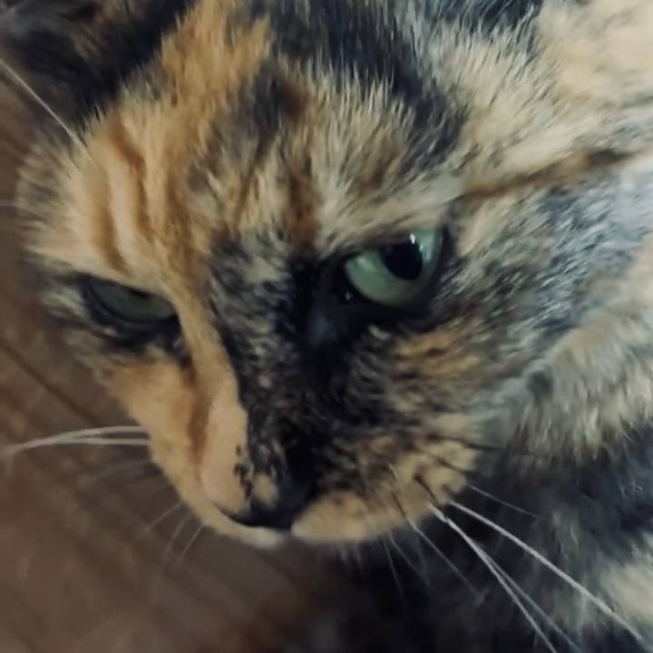 6f5c0621 5a9a 47a5 9ee2 82302ae1d4fe 1757191902892