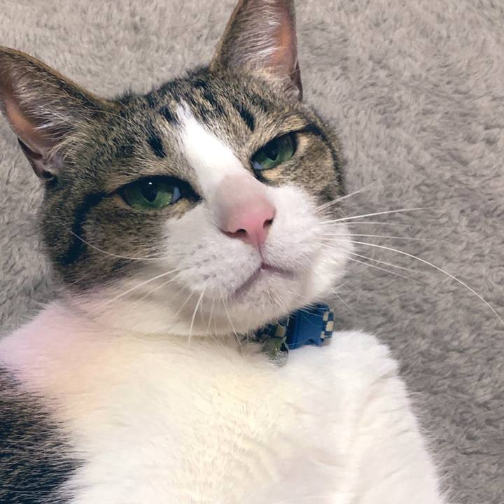 6f5c2537 5567 4fee a25b d9d76c0efb8e 1585305192475