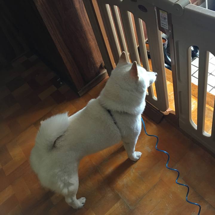 6f5c51a4 54e8 423f b412 9537b90a978b 1545617324003