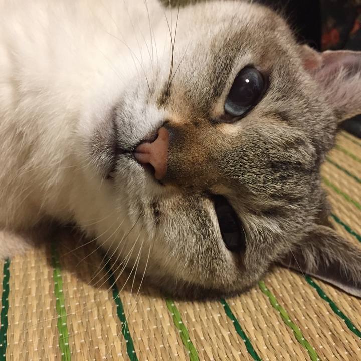 6f5c5208 a55d 4170 875a 7fa58ba075af 1558961255088