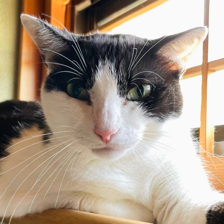 6f5cbd94 67f6 4791 8e0c f14e0e68f4a5 1661219921973