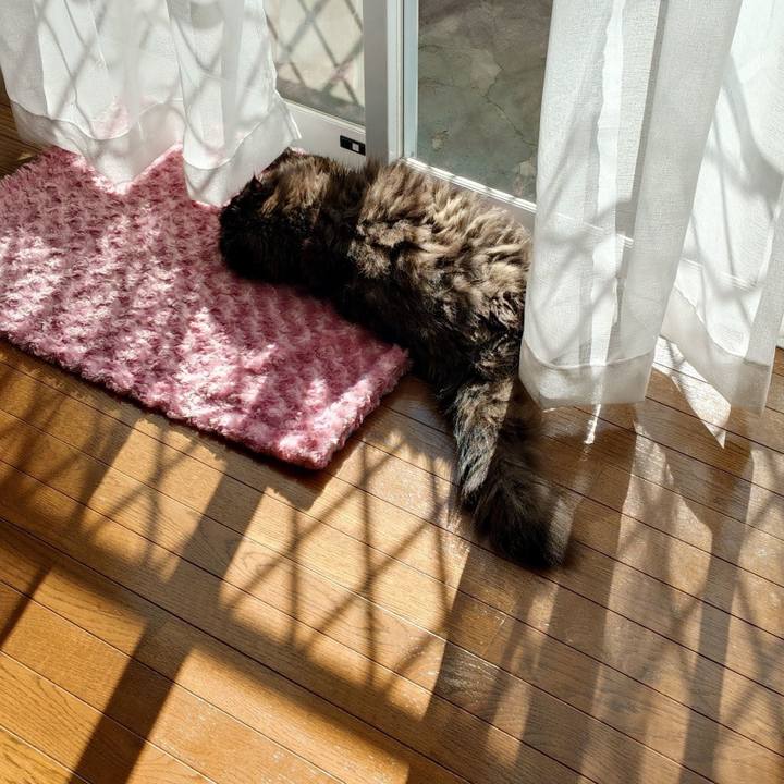 6f5ccf13 b429 41be ae0b 7d17be74a96e 1765790754193