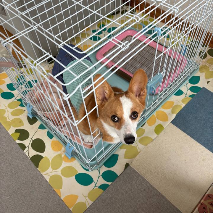 6f5cd765 ddfc 41f9 9258 c685b7255175 1758607359259