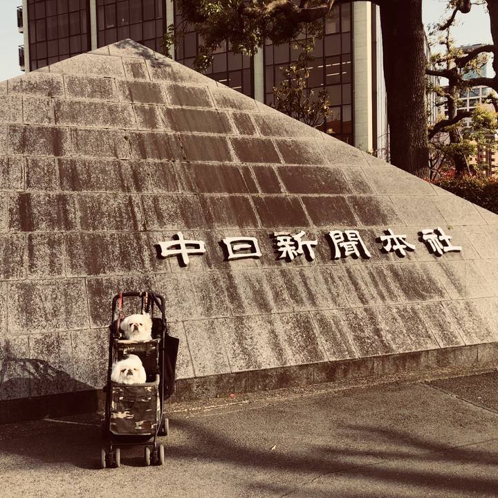 6f5cda47 9575 4bf9 8b50 b0d5ca11f601 1554543500169