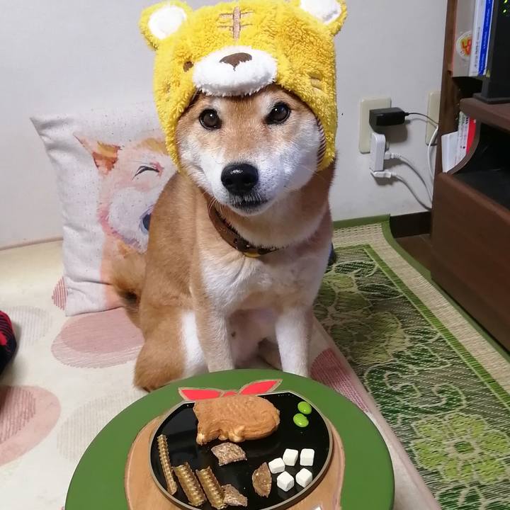 6f5ceeed eee0 43e8 b7ca 5ed4873af1b8 1641043399436