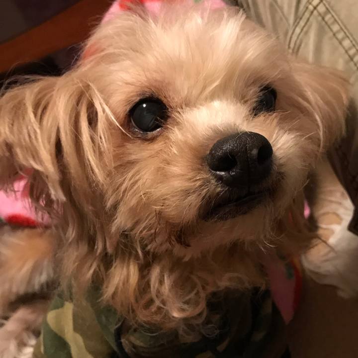 6f5d19ff f807 4f0d ad9f 14323354ae7c 1547048085222