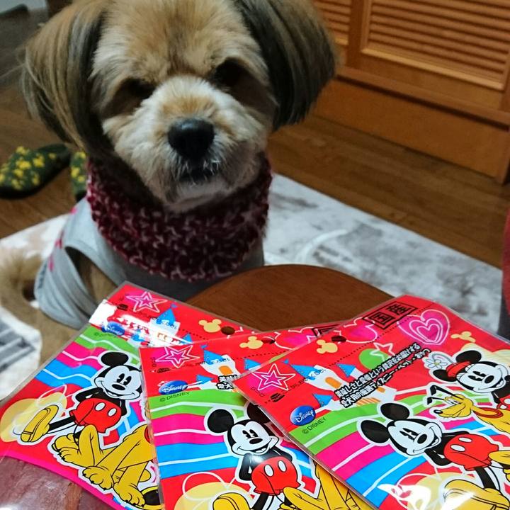 6f5d1ccd 43cc 43de a733 b5973c7c6856 1513941357894