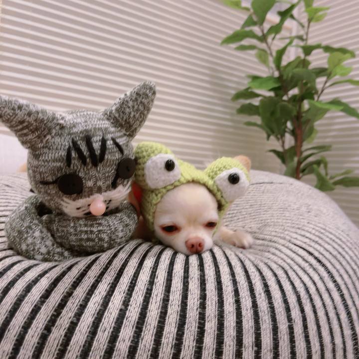 6f5d2394 58ba 48dc ac5c 25217708cda1 1688286423574