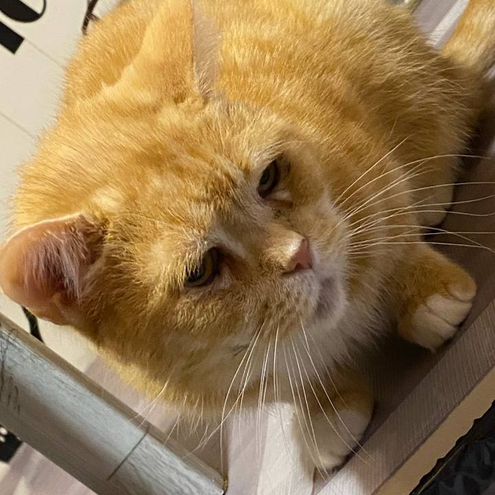 6f5d4cb0 7cb3 4524 80e8 d8b586965179 1638975270249