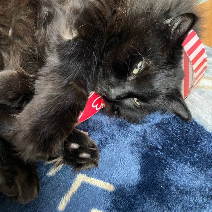 6f5dea1d 4288 4eaa 9ba3 6ed2bc0fa234 1579067295638