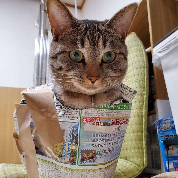 6f5df87d 8225 426f 8244 94f0433a80bd 1701858340078