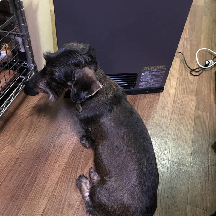 6f5dff8a ae70 470d 938f 331f55c8b41c 1515401693721