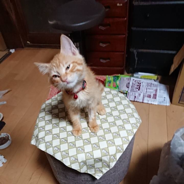 6f5e1d36 aacc 4ff1 ab45 1efe60ea1cd2 1629319527332