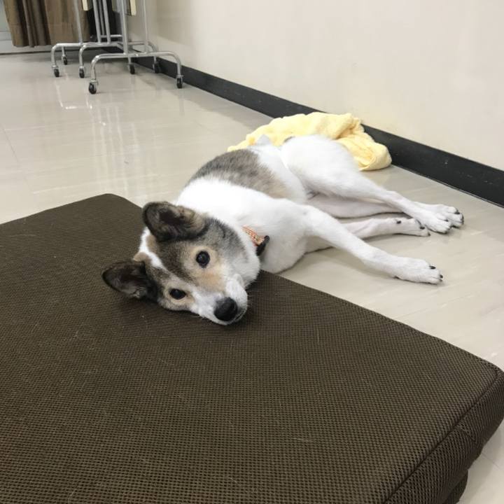 6f5e428e fa31 4015 b5ba 63c20f422106 1508945705554