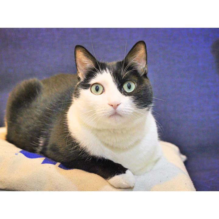 6f5e990c 9eb5 4164 bccb 4a66a5cecd39 1578697138896