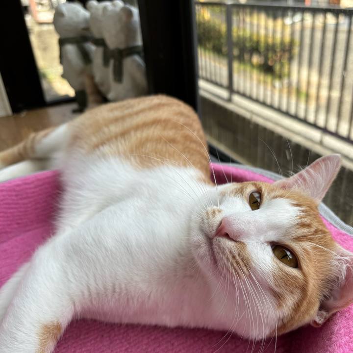 6f5e9b07 6677 43db 9a63 ada8f531cc34 1709953082888