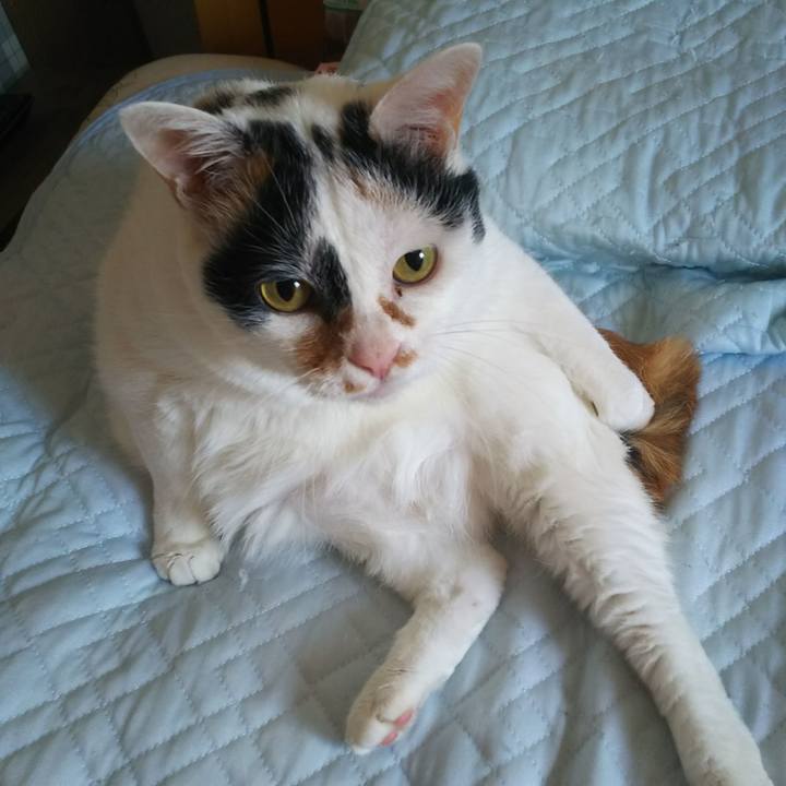 6f5ec1e2 5516 4a36 9c99 a890c80fafff 1565299669954