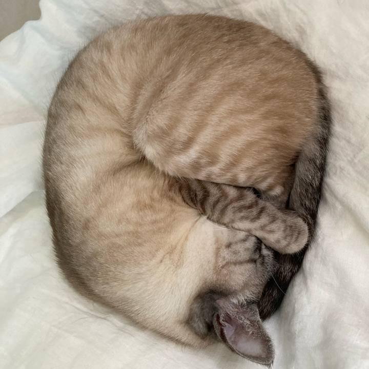 6f5ec4fc 14af 4ccd abf1 d23d7392baad 1680593529481