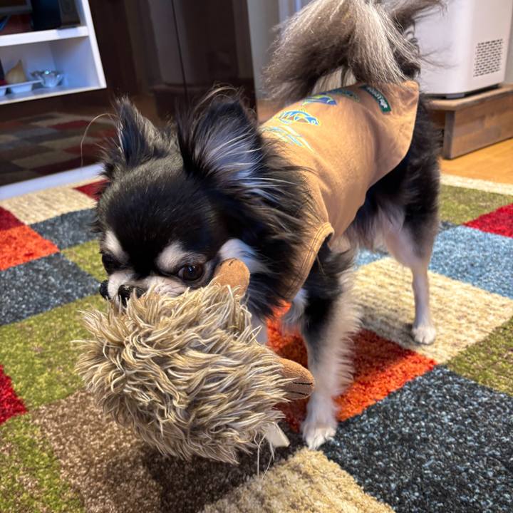 6f5eda1b 5e2b 4033 a1a4 039595eeaedd 1745081109997