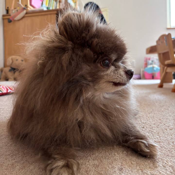 6f5f038e 9269 451e b666 dd5f9ab59498 1744066257313