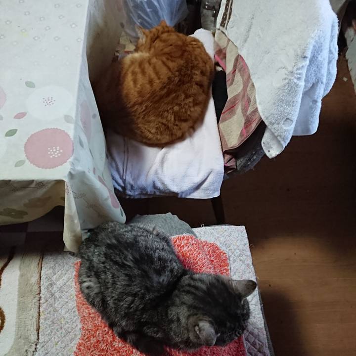 6f5f3ef8 94b4 46d0 bfc9 b1a155754c64 1581233374018