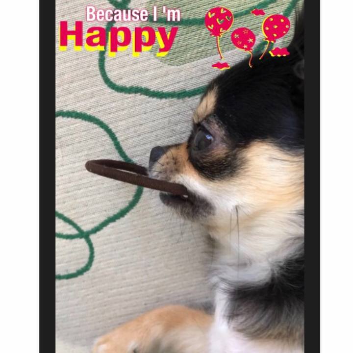 6f5f45b2 b8a6 4595 bbe5 d95f52a2f14f 1561410651522