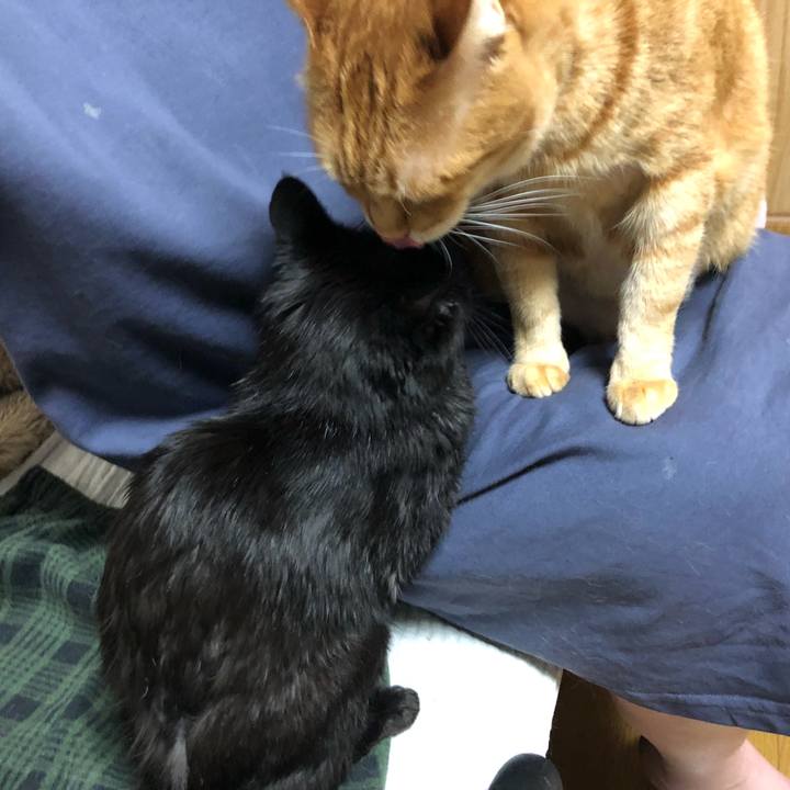 6f5f4714 59aa 47c8 8100 f6edd5638c90 1646562713918