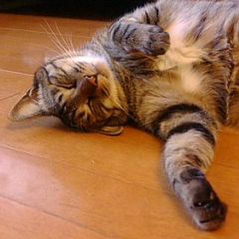 6f5f52df 45f1 449a aa70 320abcaddbc6 1616025413373