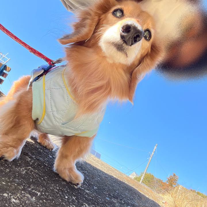 6f5f92db 2290 4e38 9b0e 4cafb5a13697 1677585092179