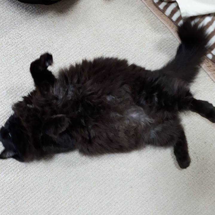 6f5fcdb1 bd3d 420a 8658 007046566cf9 1519514032897