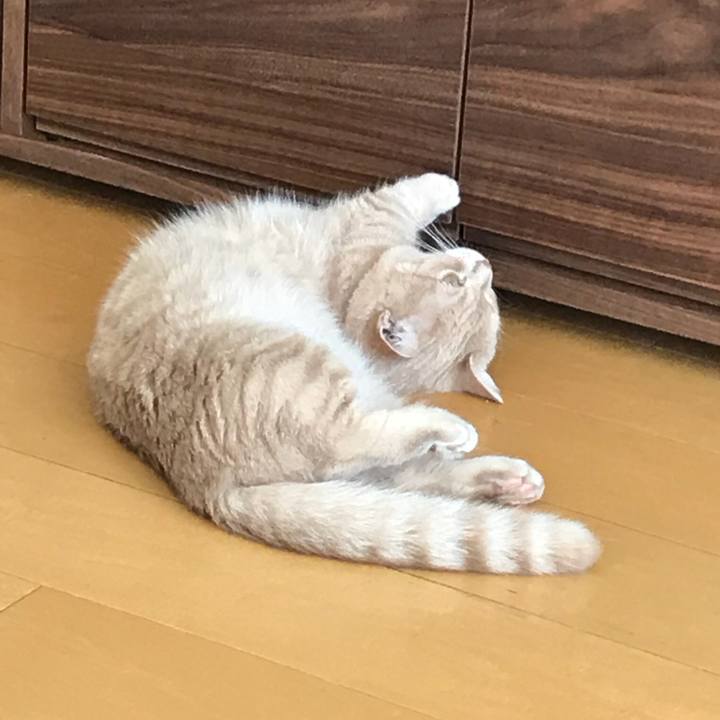 6f5ff1af 65a8 40af bbaa cb18e7c81c94 1538883340281