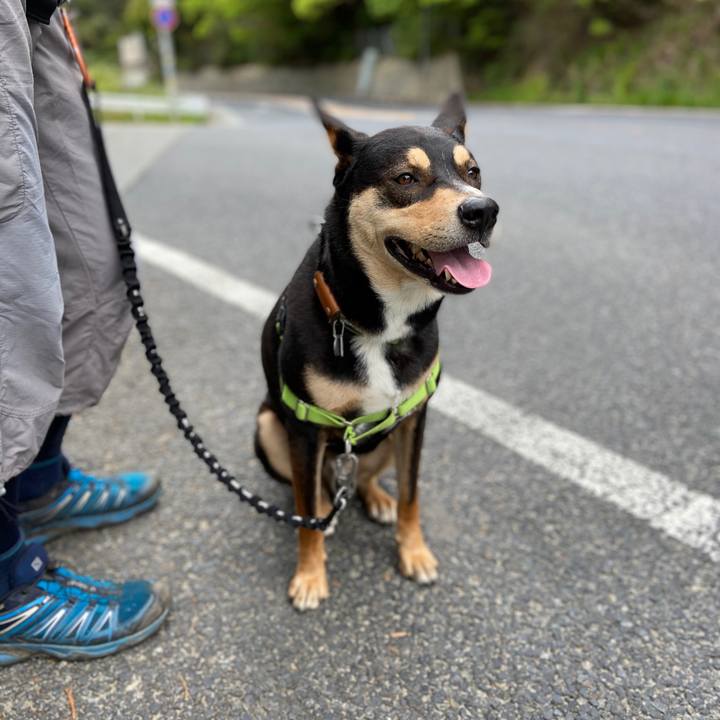 6f5ffdf0 3f3c 4311 8d98 bbc8ef9497f0 1588671719768