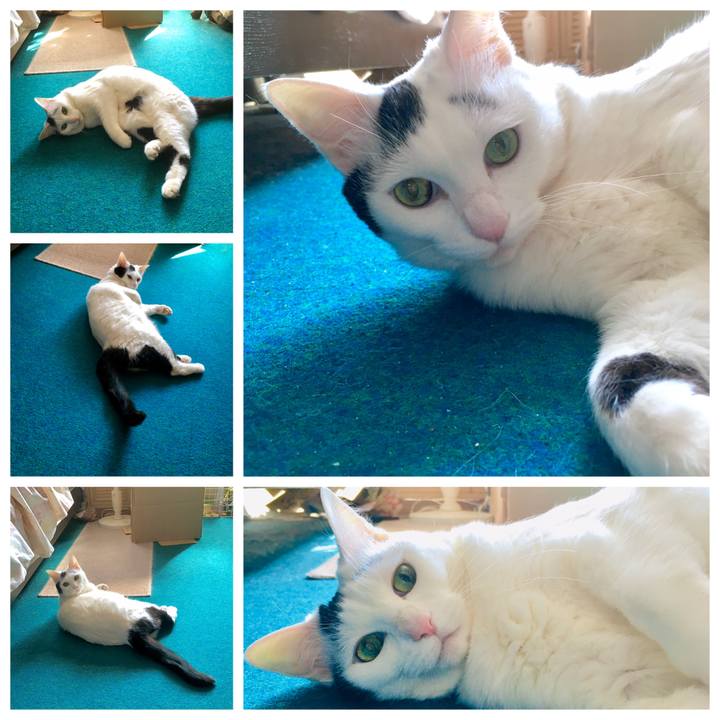 6f606393 3a9d 478a b506 69f6b9ad646f 1587097231736