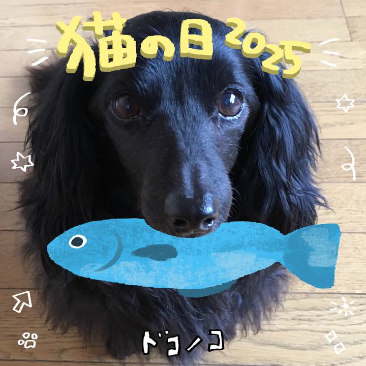 6f606feb 91d0 4254 8ab5 b0b01ac81f1e 1740124962240