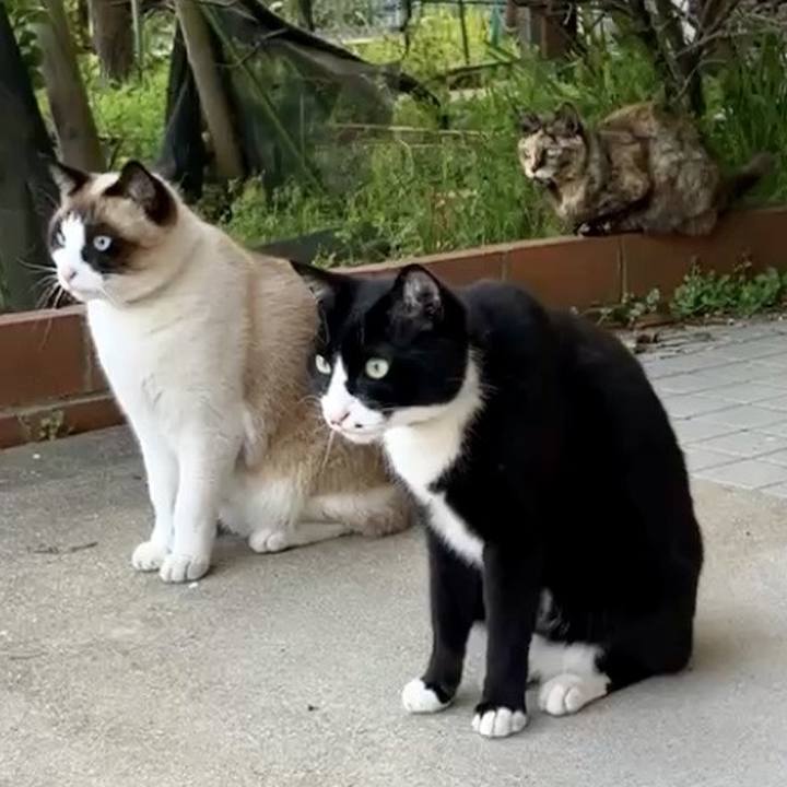 6f60e7d0 d261 4f5d 8f6c 54b50dc51f53 1735761815305