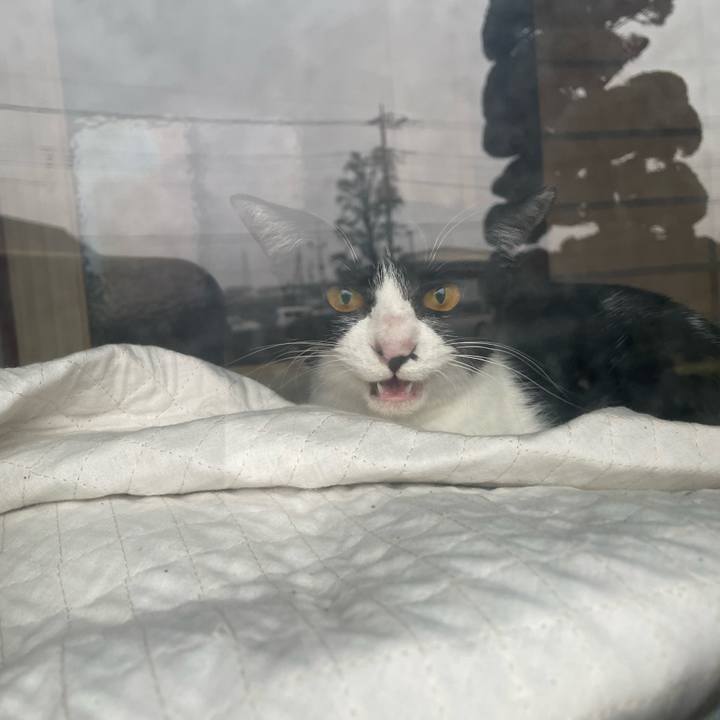 6f6107fd 6515 43a8 acca 9df93e487bd7 1679817755127