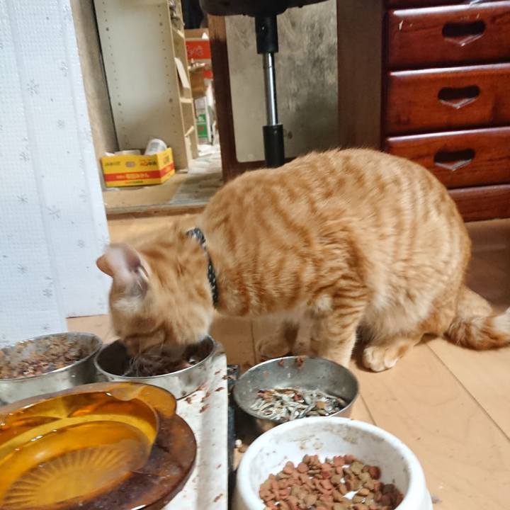 6f61232f 923f 45d9 9cd5 ecd73729d48f 1646129712375