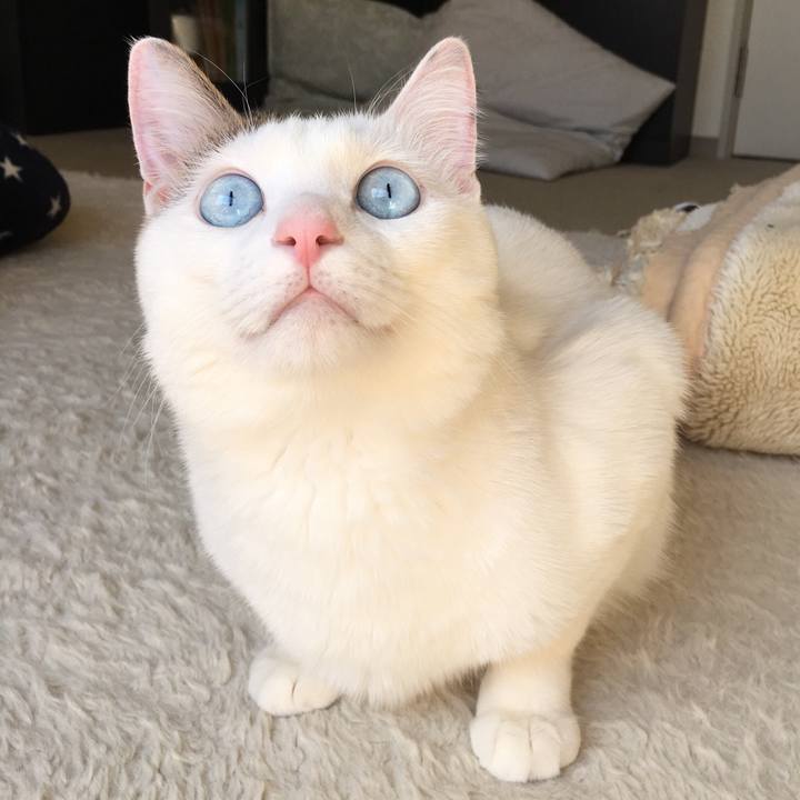 6f614347 9f11 4a30 9b94 2954b3a7739c 1521526147140