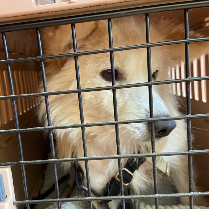 6f6156b1 f8c4 4365 a573 dae3b07ec452 1646827387589