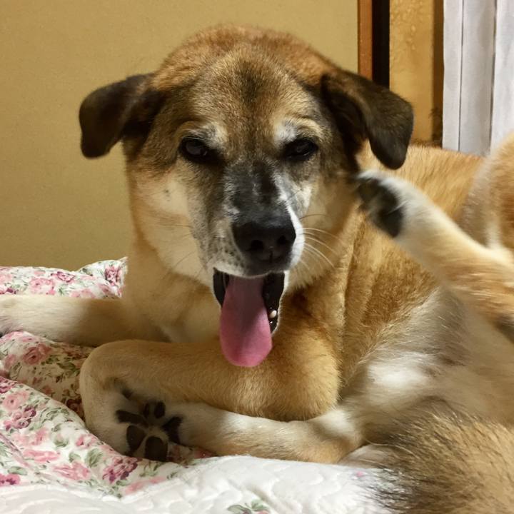 6f616a4f d42a 423f bdcf 892db3e86bc7 1571048822244