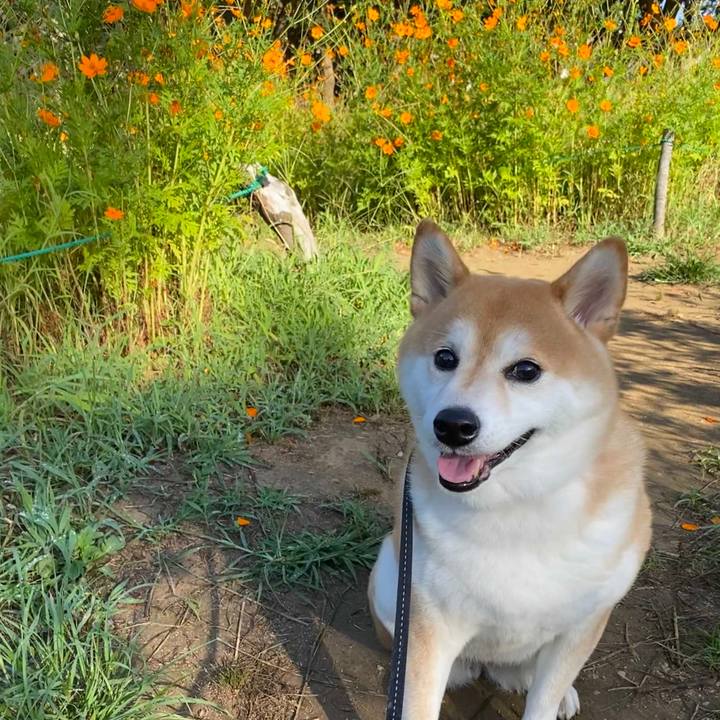 6f6172dd 241f 4759 b0f7 2f11ddfce9ec 1599170163044