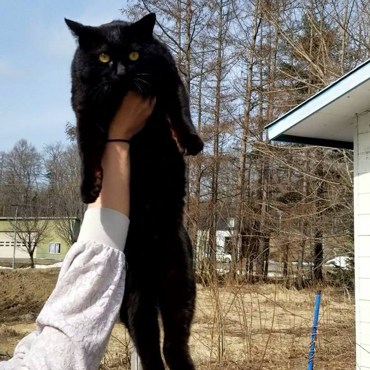 6f6187b7 40da 45bd b2ab 1313d9296b97 1679839221192