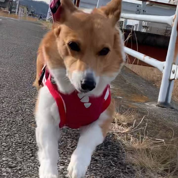 6f6194d4 45b9 4b42 ae36 1a535710b09d 1675400127158