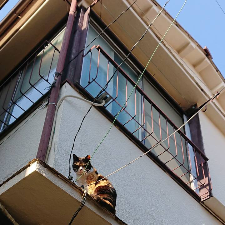 6f61970c 5f30 4f8f 9f0f f7fe4d7d038e 1587773567950