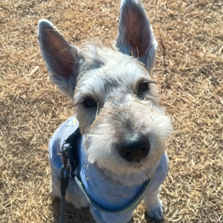 6f61be3c a1b7 443c 8b70 6b5431f180d9 1770898016531