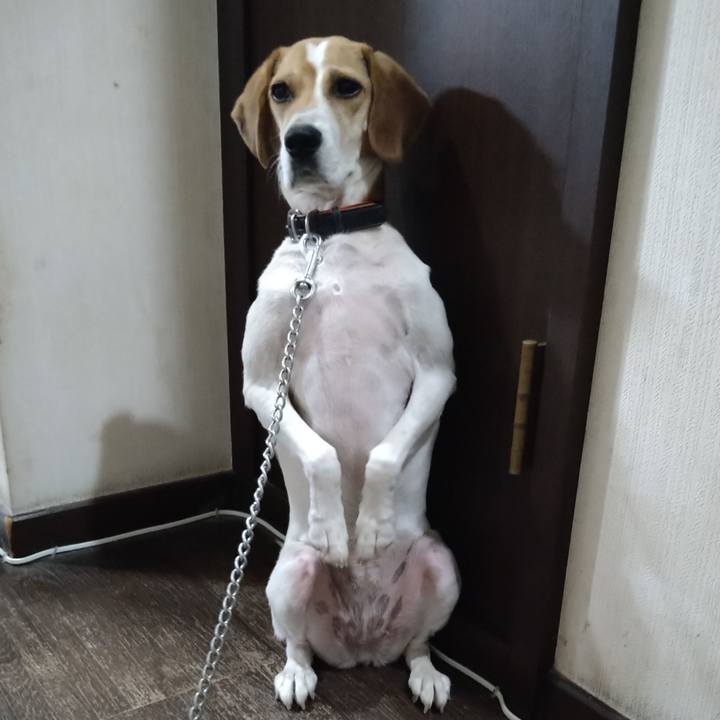 6f61c008 c8d5 4d8e a613 3ba346e376f4 1627386941859