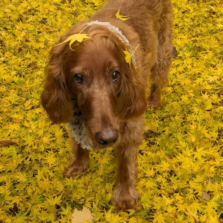 6f6214cd 24f2 4b4c 80a8 c3bee276c1df 1764151145005