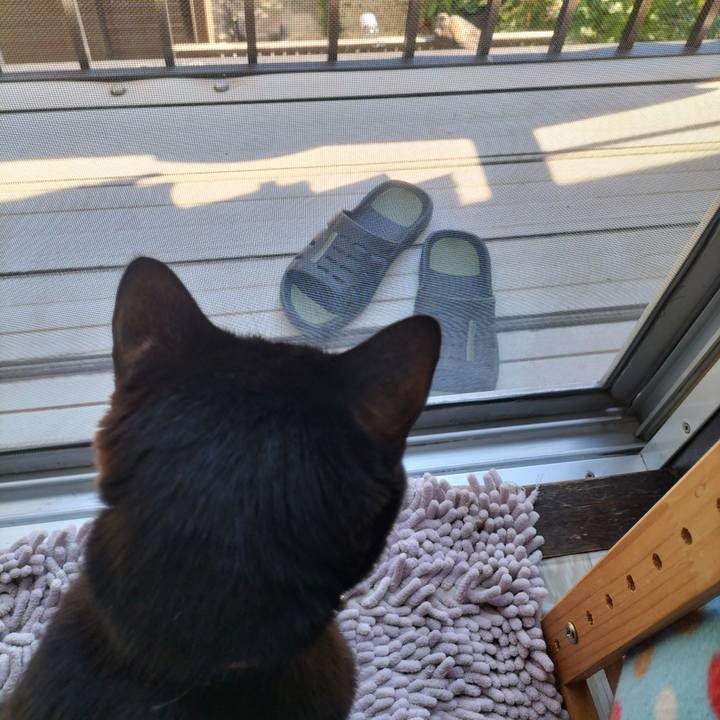 6f6236bc 5f8b 4aa8 8769 f50040e9ebb7 1634269120670